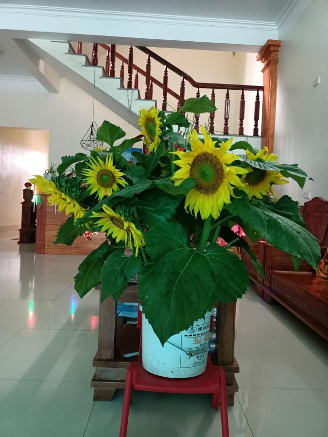 Homestay Nha Nghi Bolero
