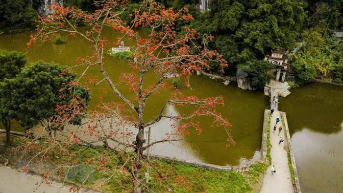 Nha Nghi Bolero Homestay Van Lam