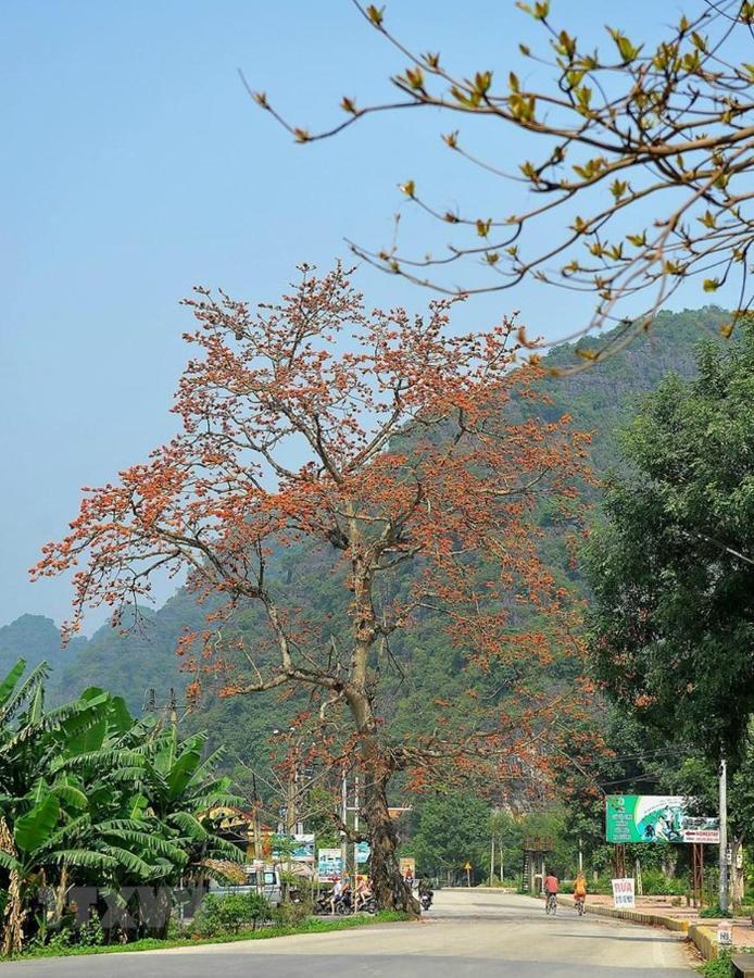Nha Nghi Bolero Homestay *